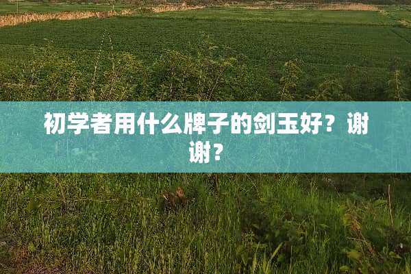 初学者用什么牌子的剑玉好？谢谢？