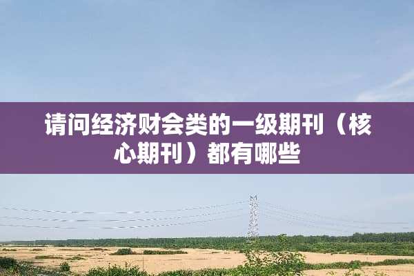 请问经济财会类的一级期刊（核心期刊）都有哪些