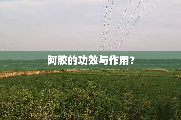 阿胶的功效与作用？