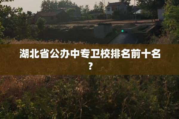 湖北省公办中专卫校排名前十名？