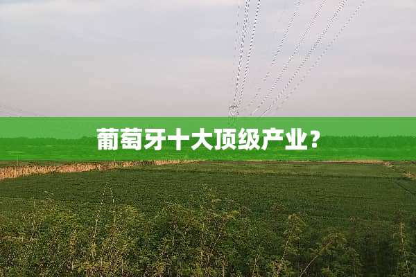 葡萄牙十大**产业？