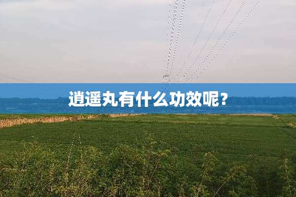 逍遥丸有什么功效呢？