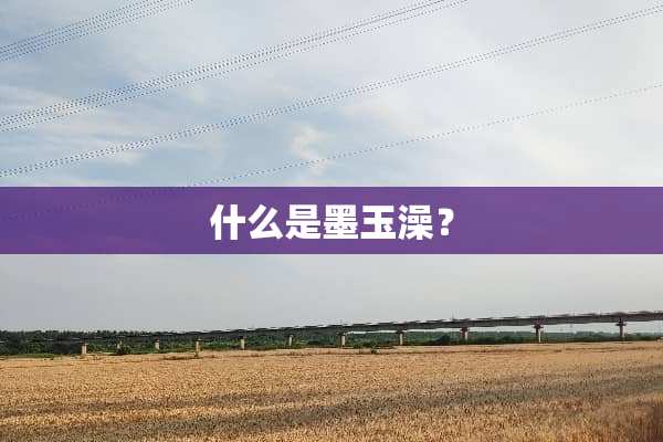 什么是墨玉澡？