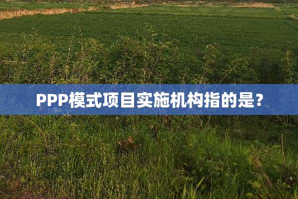 PPP模式项目实施机构指的是？