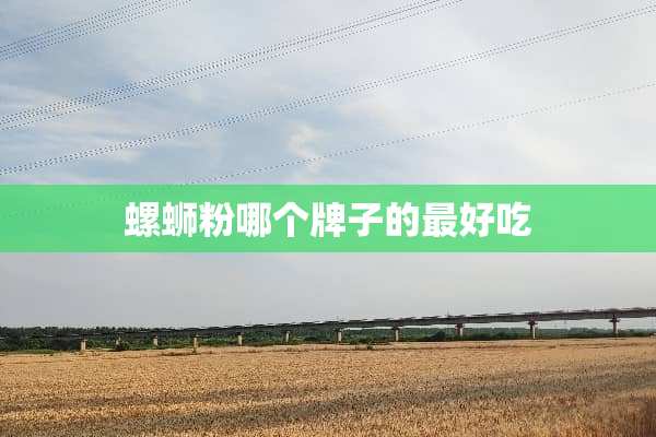 螺蛳粉哪个牌子的最好吃