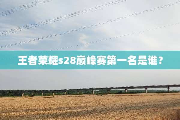 王者荣耀s28巅峰赛第一名是谁？