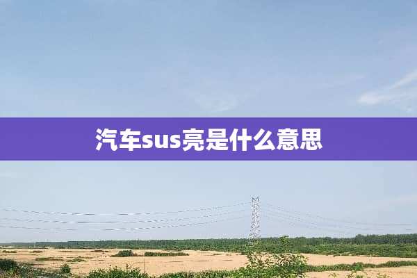 汽车sus亮是什么意思