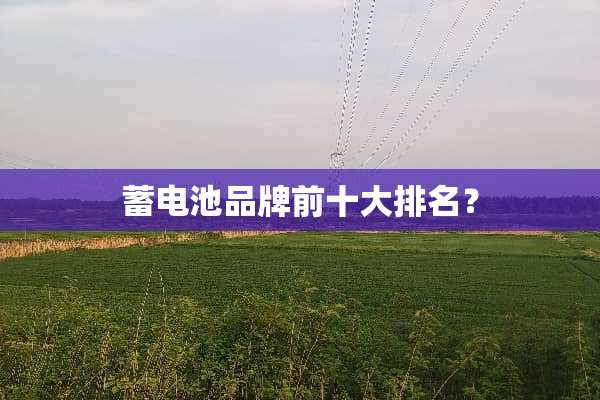 蓄电池品牌前十大排名？