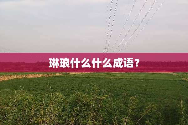 琳琅什么什么成语？