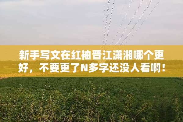 新手写文在红袖晋江潇湘哪个更好，不要更了N多字还没人看啊！0.0？