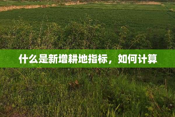 什么是新增耕地指标，如何计算