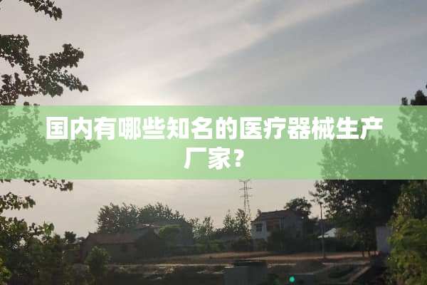 国内有哪些知名的医疗器械生产厂家？