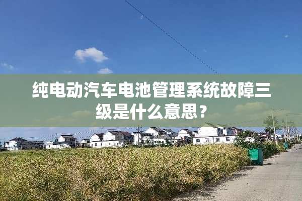 纯电动汽车电池管理系统故障**是什么意思？