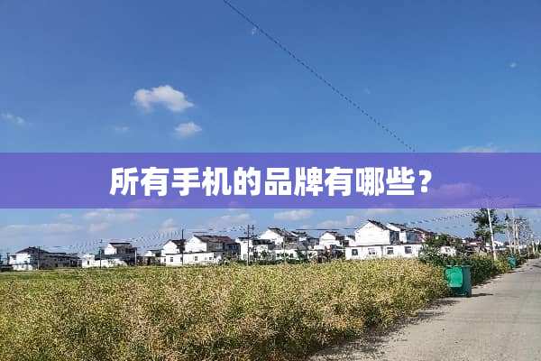 所有手机的品牌有哪些？