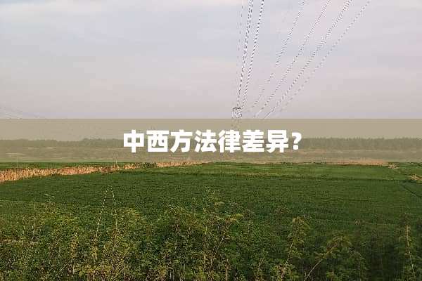 中西方法律差异？