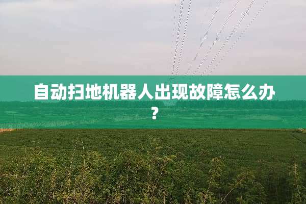 自动扫地机器人出现故障怎么办？