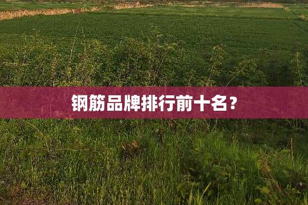 钢筋品牌排行前十名？