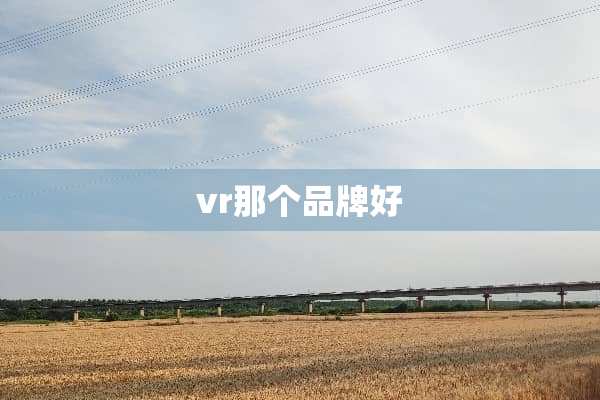 vr那个品牌好