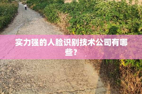 实力强的人脸识别技术公司有哪些？