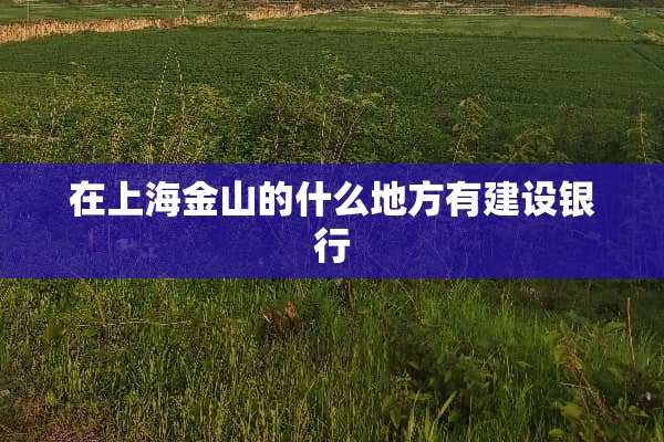 在上海金山的什么地方有建设银行