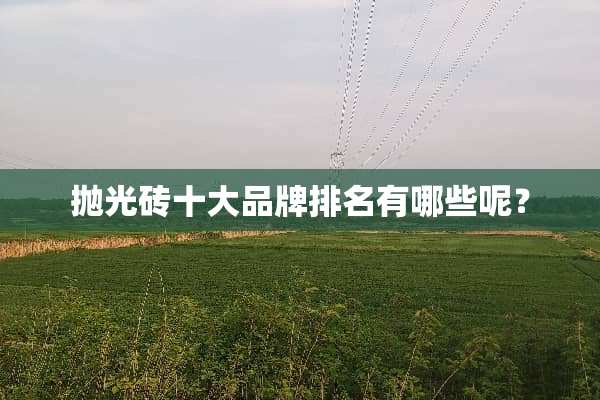 抛光砖十大品牌排名有哪些呢？