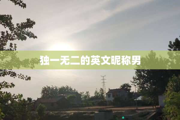 独一无二的英文昵称男