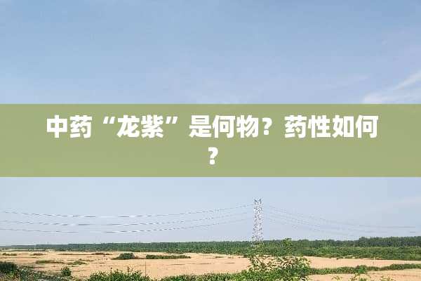 中药“龙紫”是何物？药性如何？