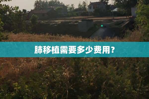 肺移植需要多少费用？
