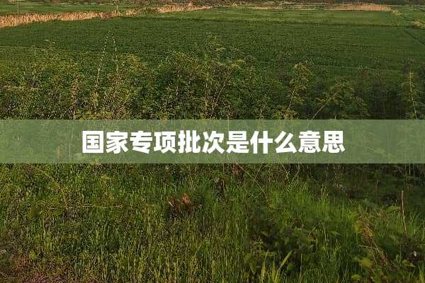 国家专项批次是什么意思