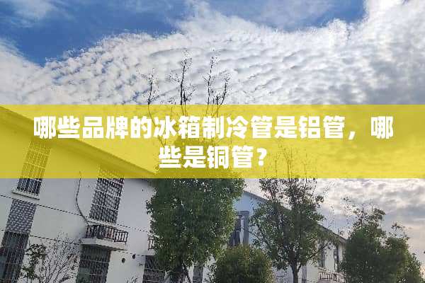 哪些品牌的冰箱制冷管是铝管，哪些是铜管？