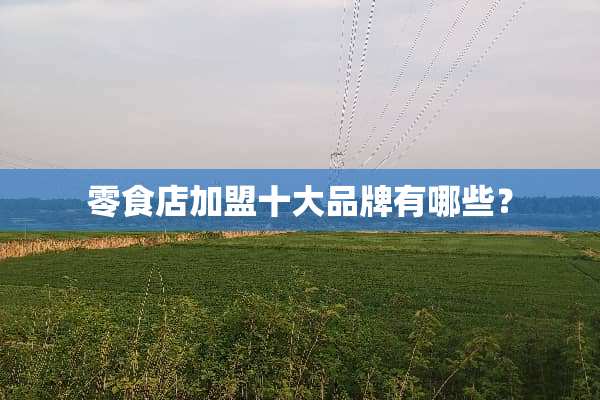 零食店加盟十大品牌有哪些？