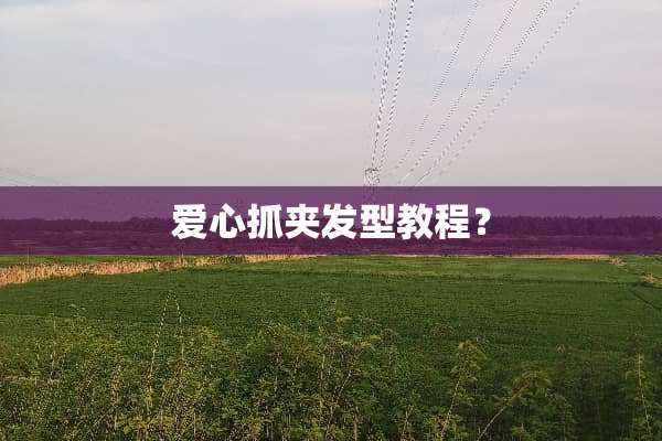 爱心抓夹发型教程？