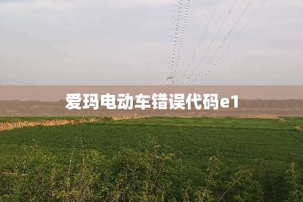 爱玛电动车错误代码e1