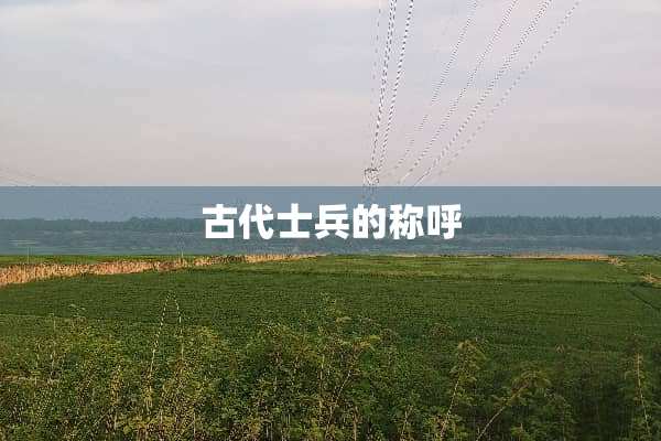 古代士兵的称呼