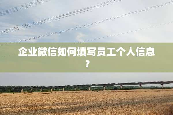 企业微信如何填写员工个人信息？