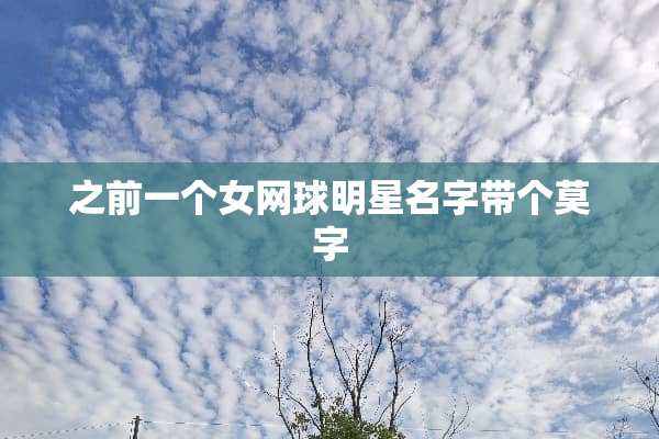 之前一个女网球明星名字带个莫字