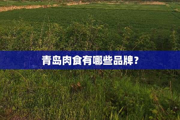 青岛肉食有哪些品牌？