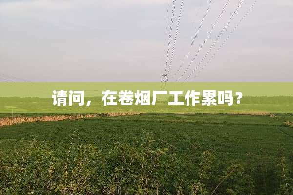 请问，在卷烟厂工作累吗？
