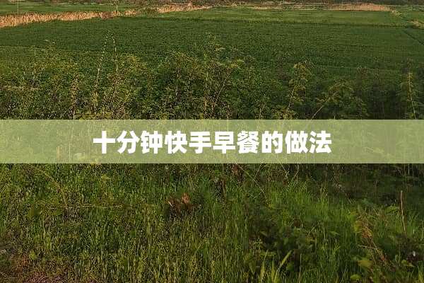 十分钟快手早餐的做法