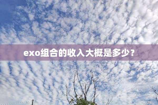 exo组合的收入大概是多少？
