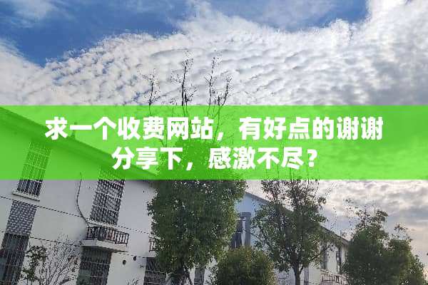 求一个收费网站，有好点的谢谢分享下，感激不尽？