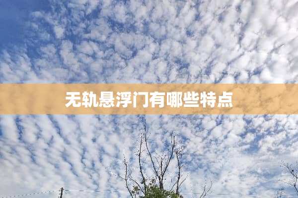 无轨悬浮门有哪些特点