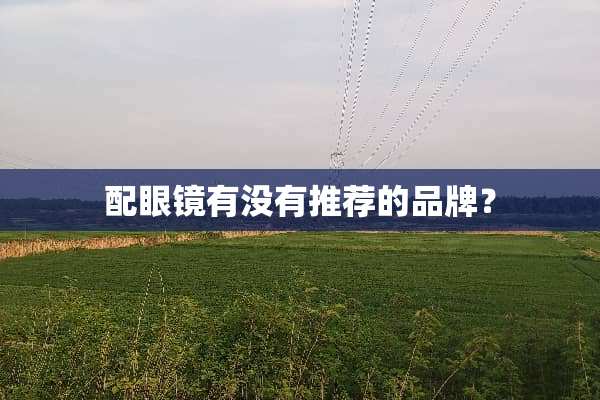 配眼镜有没有推荐的品牌？