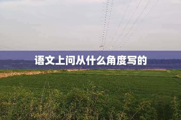 语文上问从什么角度写的