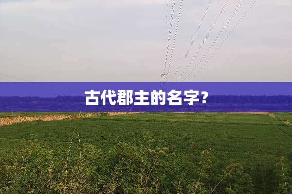 古代郡主的名字？