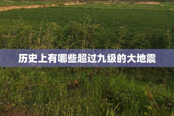 历史上有哪些超过九级的大地震
