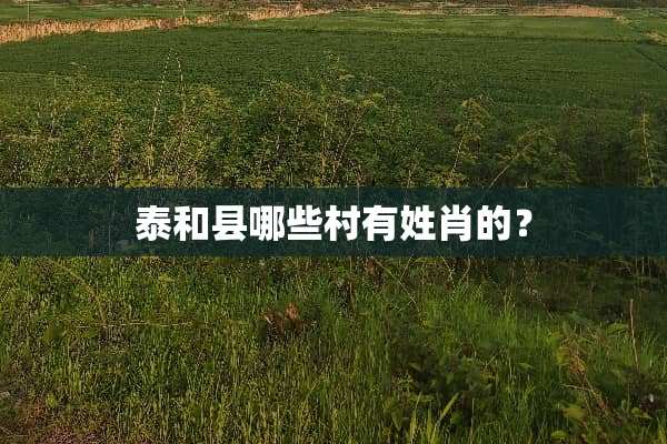 泰和县哪些村有姓肖的？