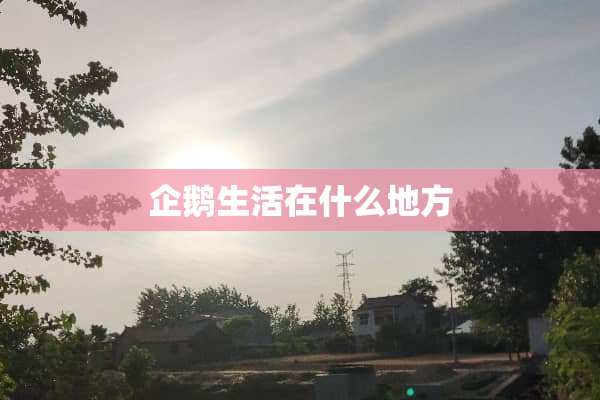 企鹅生活在什么地方