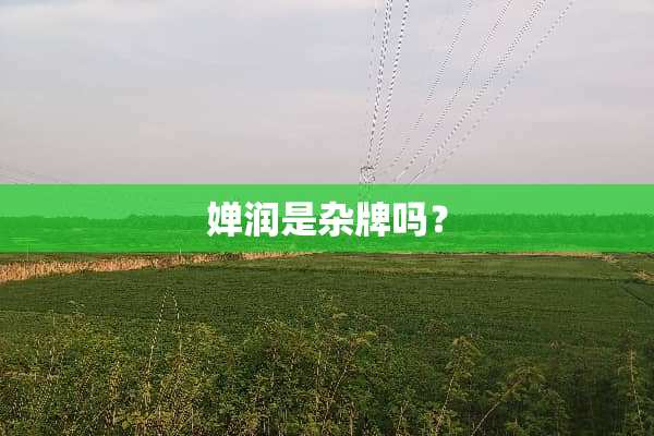 婵润是杂牌吗？