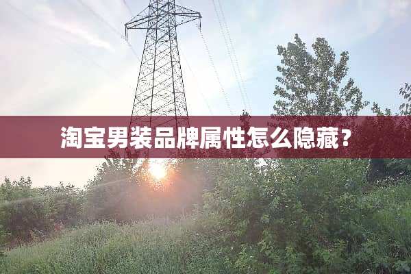 淘宝男装品牌属性怎么隐藏？